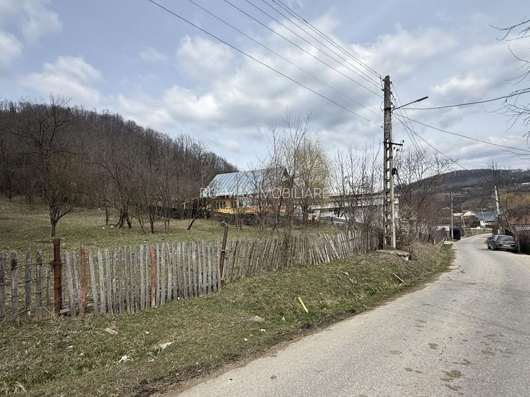 Teren 6040 mp la baza pădurii deschidere 40 ml - 10