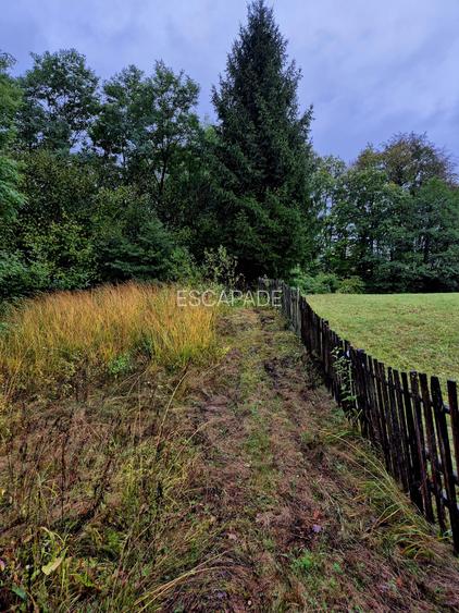 Comision 0%, teren extravilan 12497 mp Sinca Noua - 17