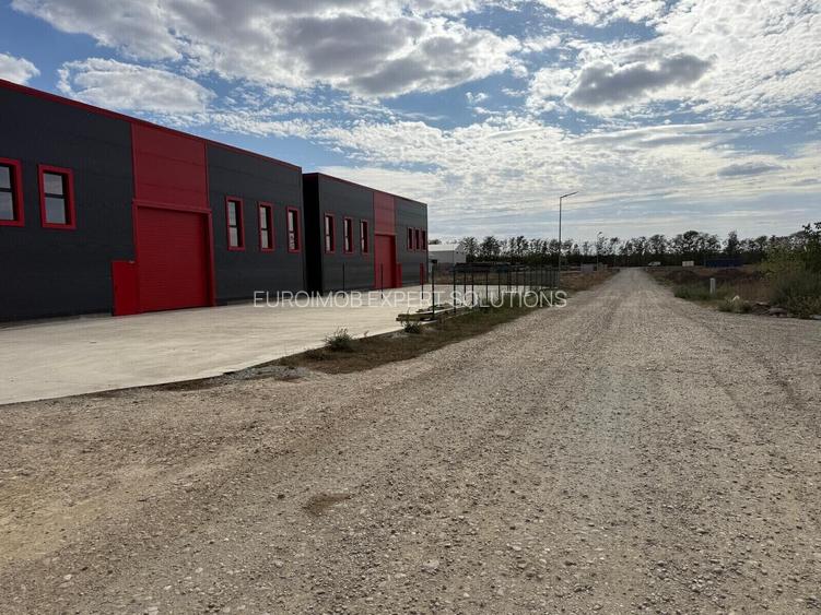 Teren DN4-A0 cu deschidere la Soseaua Oltenitei - 5