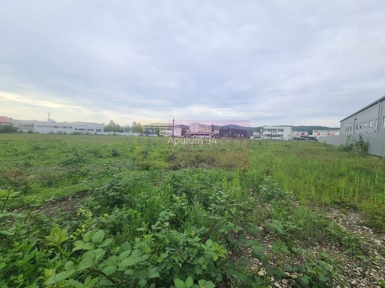 Teren intravilan de vanzare in Campina - 3