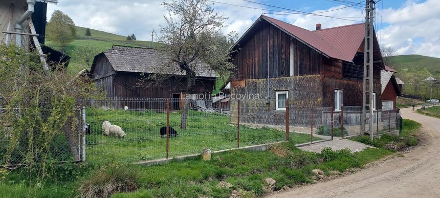 Spre vanzare proprietate Manastirea Humorului - Suceava - Bucovina - 2