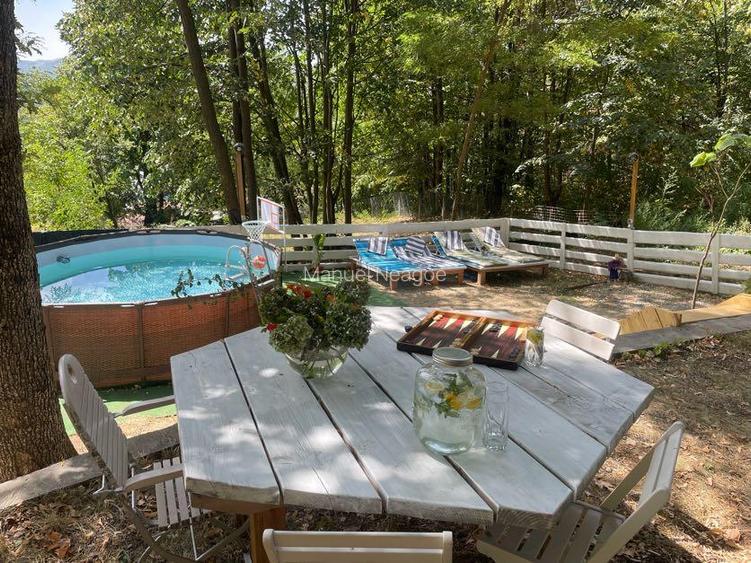 Proprietate Breaza de vis , zona de vis , prezentarea agentului , de vis - 37