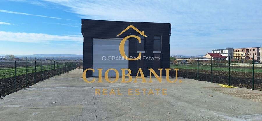 Hala de vanzare in Racari de Jos - 2