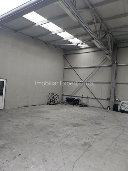 Hala 437 mp Domnesti - Pasaj - 4