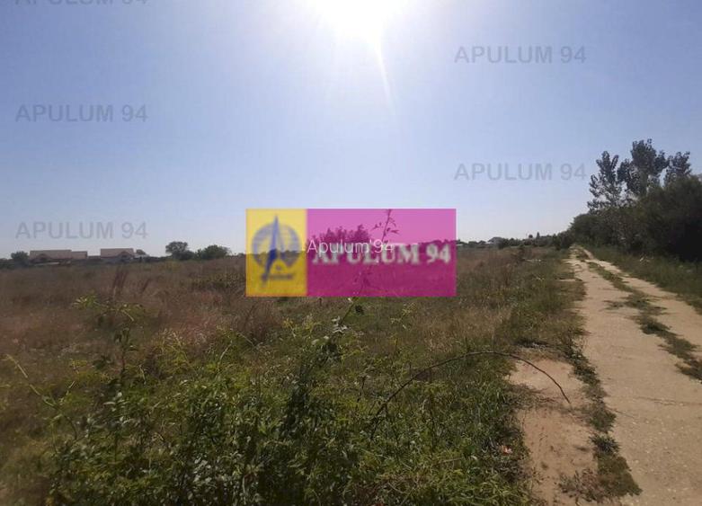 Teren pentru investitie langa Bucuresti - 5
