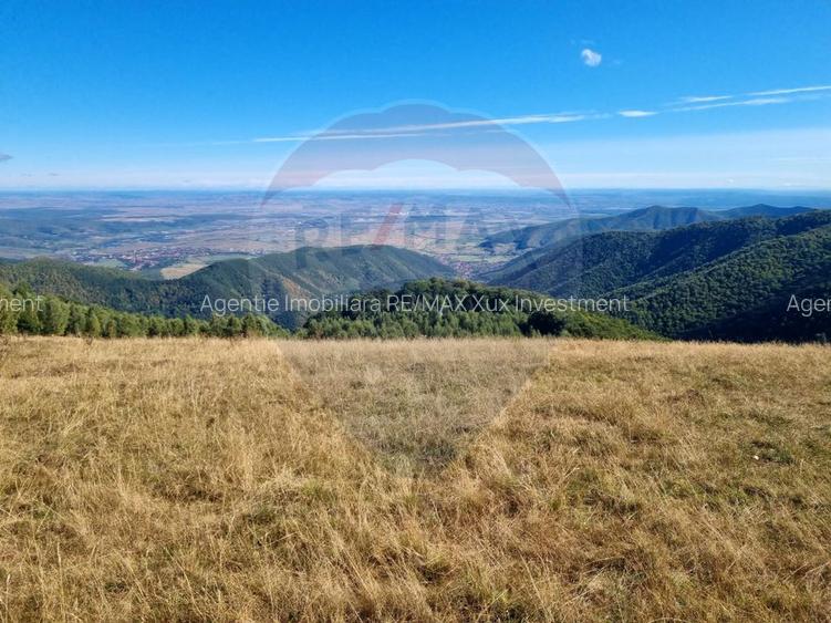 Teren  extravilan - 3