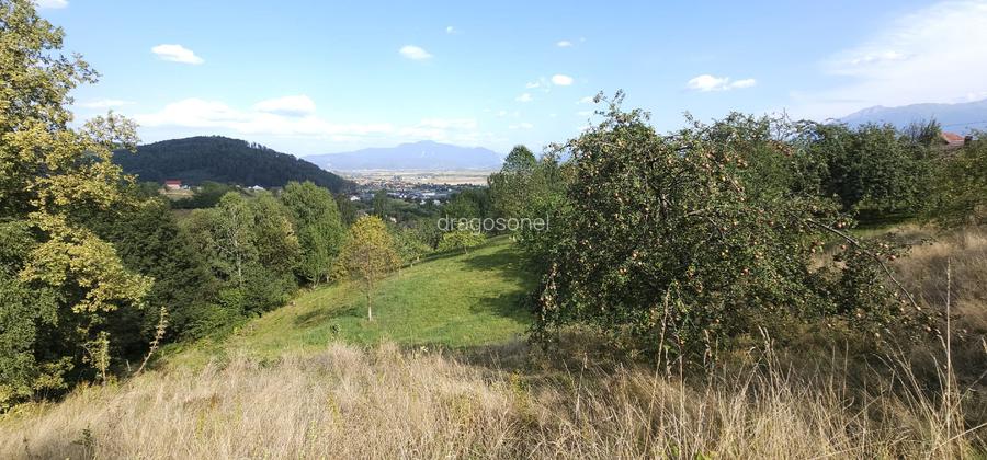 Teren pentru locuinta, casa de vacanta, pensiune, Zarnesti (zona Pleasa), PUZ, 2 - 6