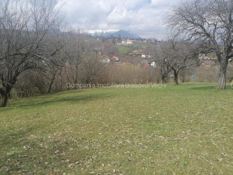 Teren intravilan parcele 1.500 mp Sohodol - Bran. - 7