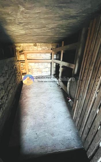 CASĂ cu teren 4.262 mp – Comuna BORLEȘTI, judetul NEAMȚ - 10