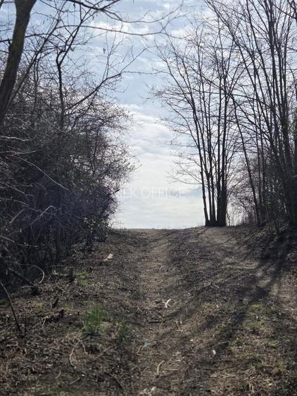 Teren de vanzare Pata Cluj - 6