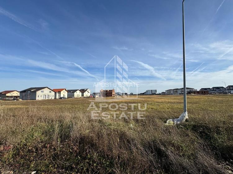 Parcela de 600 mp, in Mosnita Noua - 3