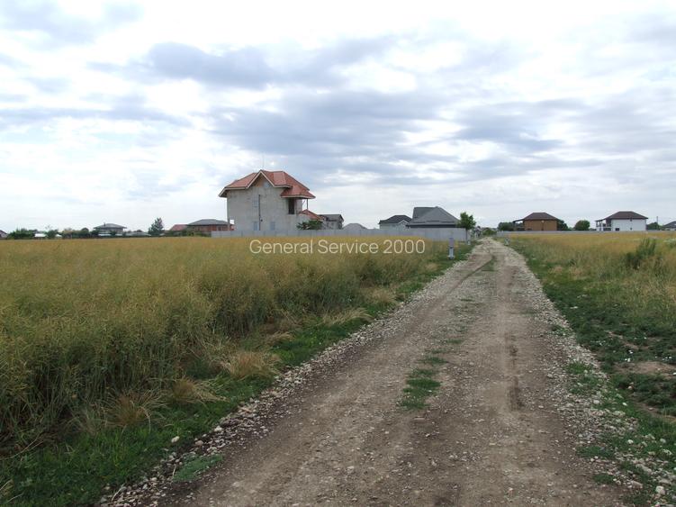 Domnesti-Afinului, teren  4394 mp - 5