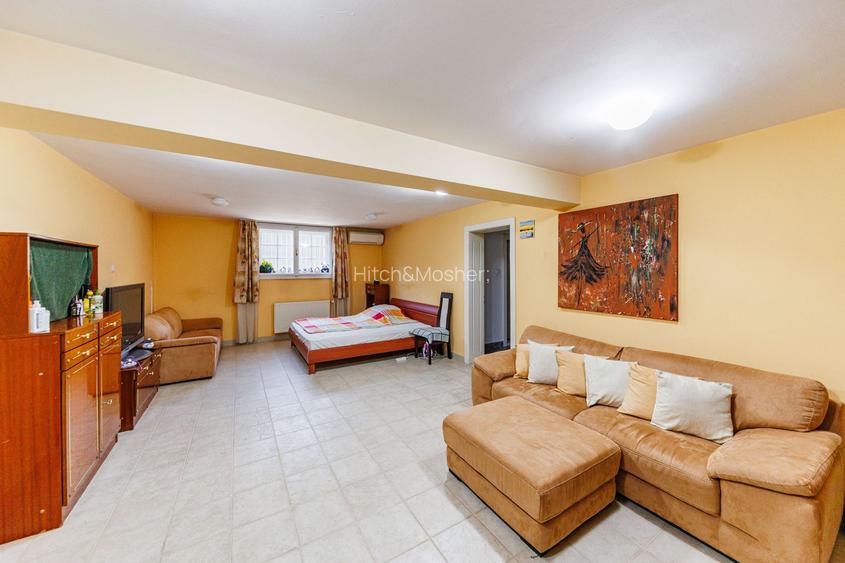 Vilă cu spatii largi, curte generoasă - 54