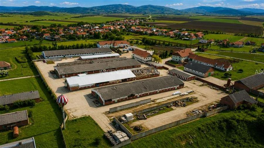 FILM! Complex agrozootehnic cu traditie, echipat + pretios potential multiplu - 16