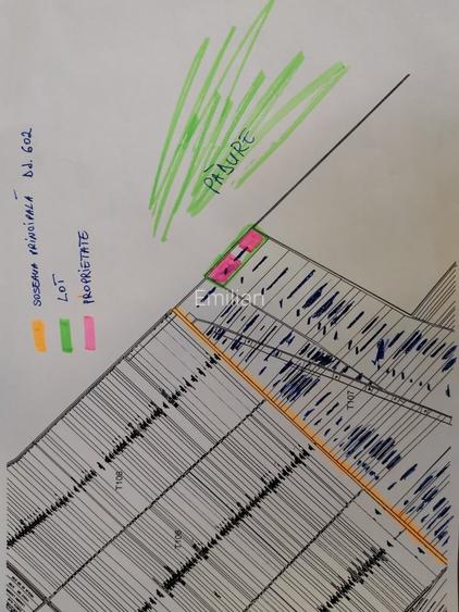 Teren langa padure - Sabareni - 7