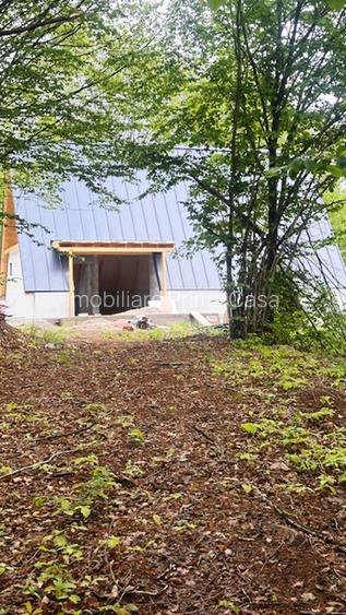 CHIUZBAIA 2CABANE cu teren de aprox. 70ari ! - 4