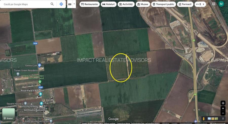 Teren 11.800 mp Tunari TARLAUA 24N - 3