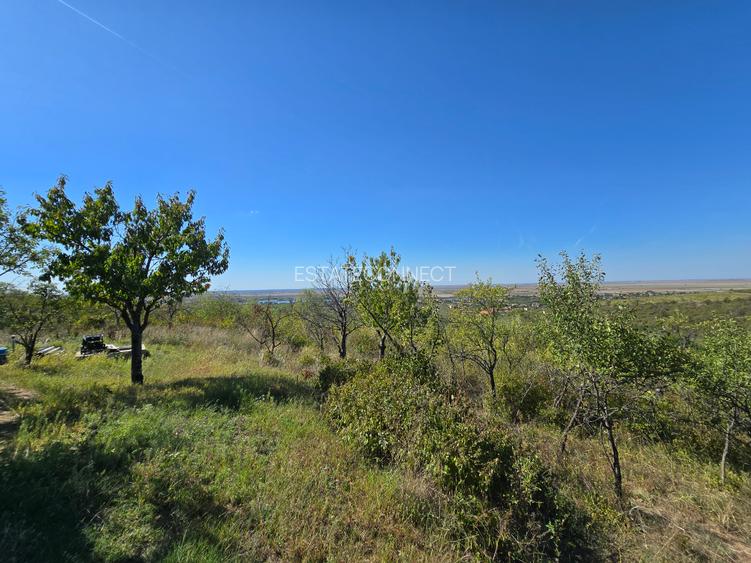 Teren 8.472 mp – Ghioroc Valea Domneasca - 3