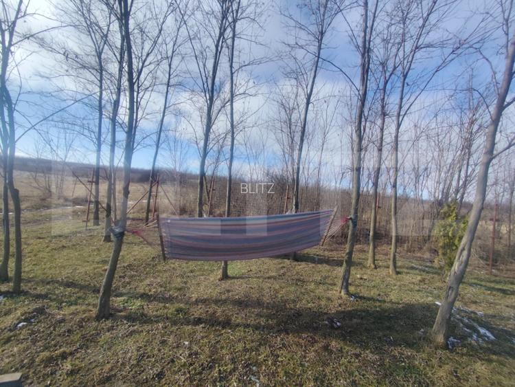 Cabana de lemn cu  700mp intravilan, Ciurea - 3