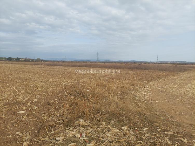 Teren dezvoltare rezidentiala / industriala, Dumbrava / Targoviste - comision 0% - 6