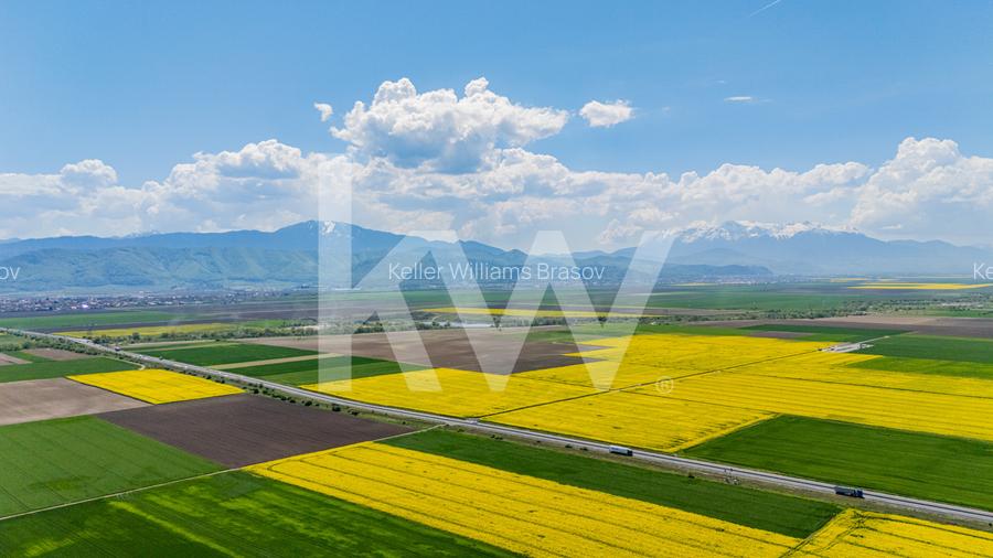 Teren 10.600 mp în Codlea – ideal pentru investiție industrială - 15