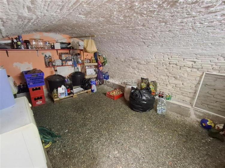 Casa formata din 2 apartamente pivnita zona Turnisor - 12