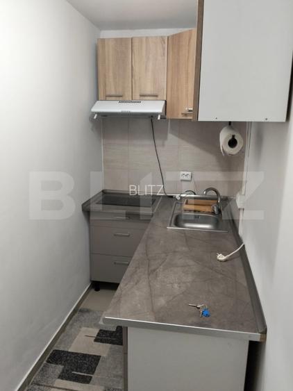 Garsinieră 22pm, Bucium - 4