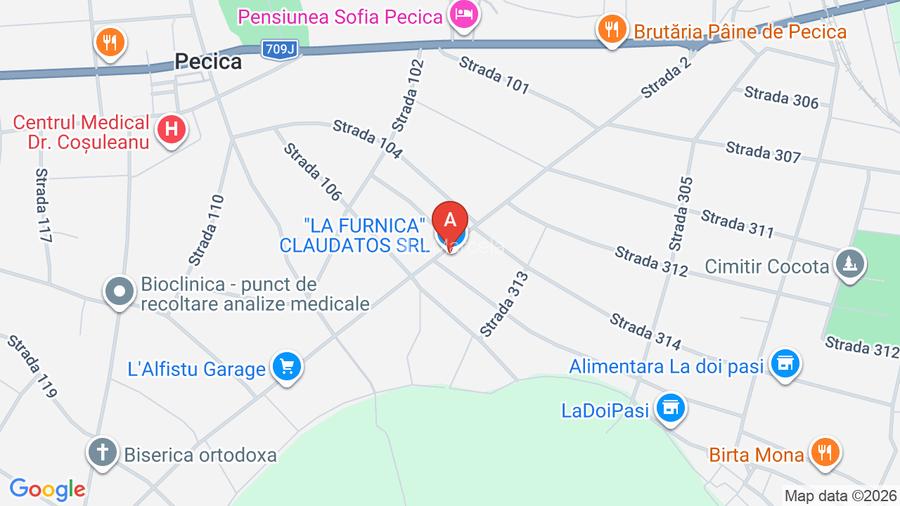 Casa de vanzara in Pecica ,,si coridor - 2