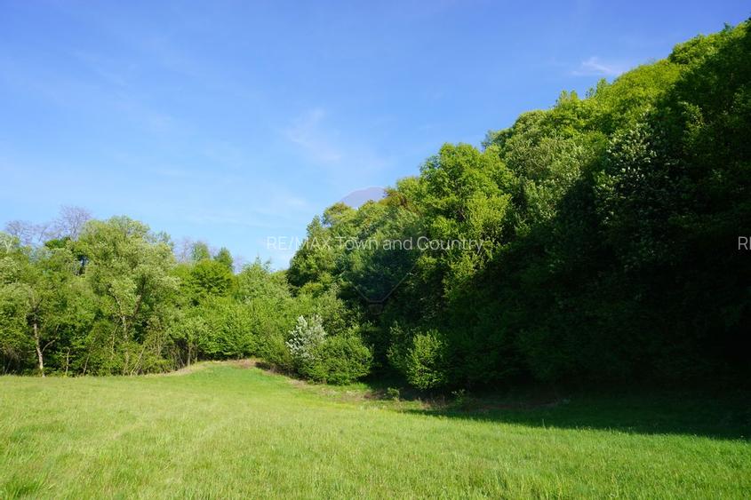 Teren 33,137mp Sighetu Marmatiei / Strada Mocanitei - 7