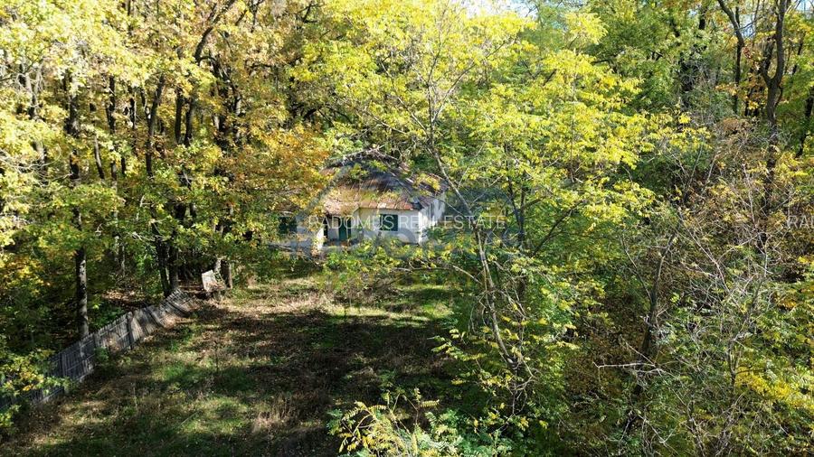 TEREN INTRAVILAN ÎN PĂDURE LA VĂRBILA - PRAHOVA – COMISION 0% - 8