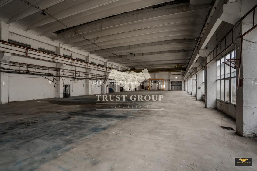 Teren Caracal 28.788m + Hale industriale + Sediu Firma  - 17