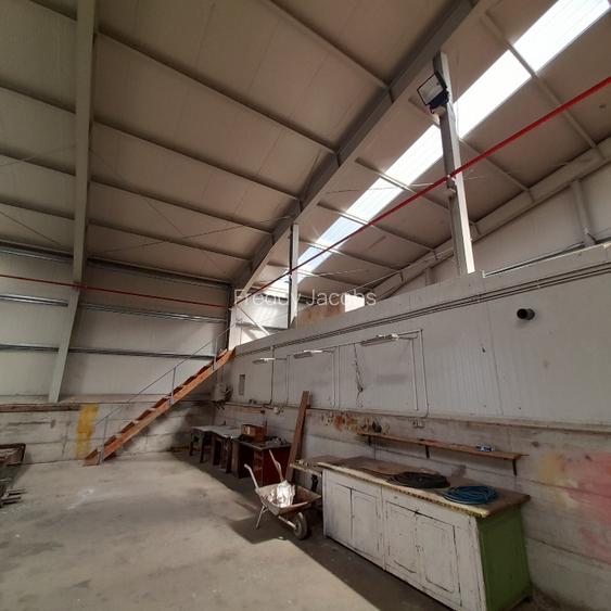 hala si deposit  in Filipesti ,Braila - 12