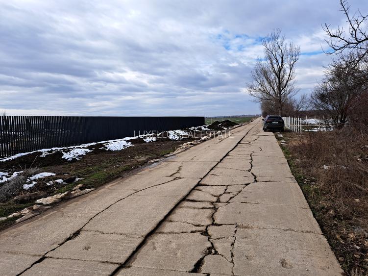 TEREN SNAGOV LANGA ARTIST THE BARN - 7