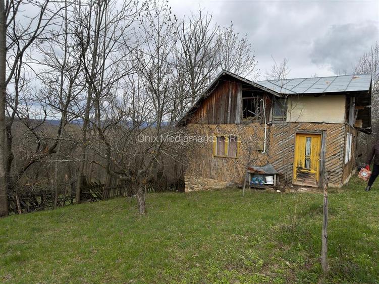 Teren intravilan 1518 mp, constructie, Sotrile, Prahova - 24 EUR/mp - 3