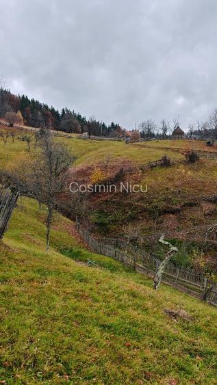 Se vinde casă cu teren aferent  - 5
