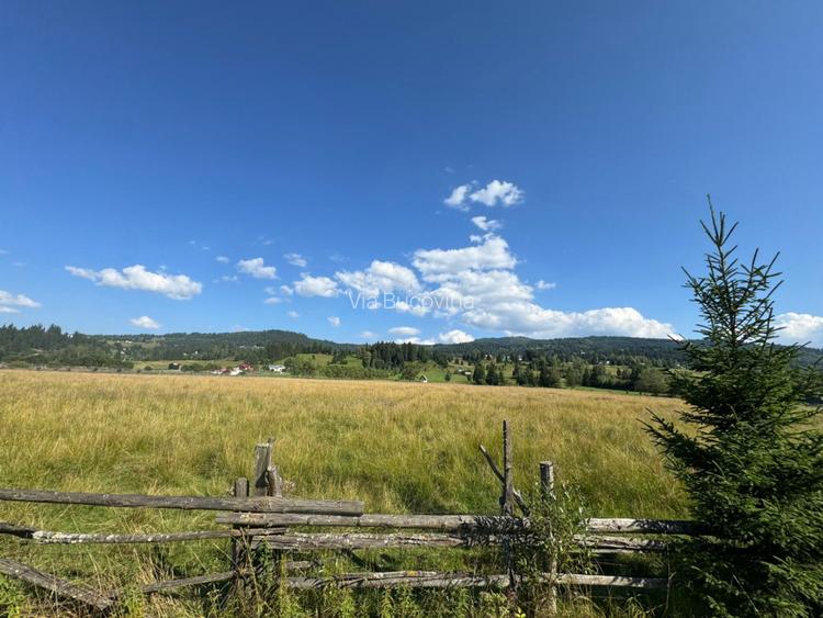 Vanzare 16700 - 9 loturi - Plaiul Sarului la sosea- microdezvoltare langa oras - 14