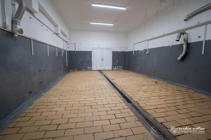Hala compartimentata Calea Baciului - 2