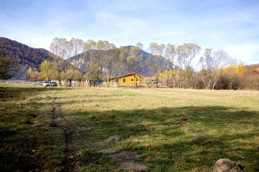 Teren intravilan 2500mp Tohanita Zarnesti- ideal casa de vacanta - 13