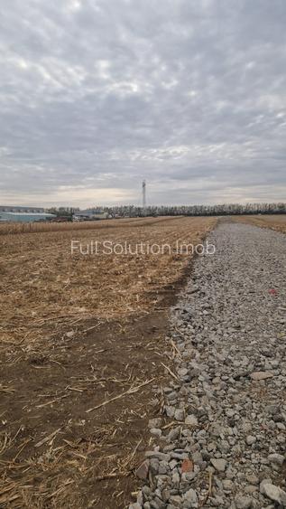 COMISION O%! Frumusani - Teren mixt, de vânzare - 2