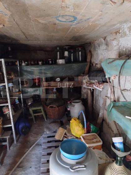 Casa in Dudovicesti, teren 950 mp - 4