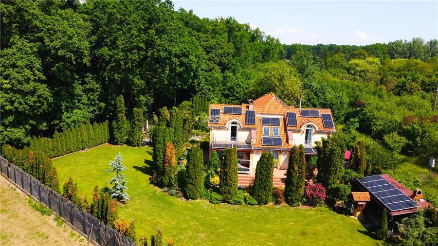 VIDEO | Vila, domeniu privat la Padurea Noroieni | Curte, foisor, jacuzzi - 4