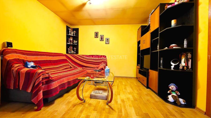 Oportunitate Unică: Casă cu 4 Camere, Curte Generoasă și Îmbunătățiri - 17