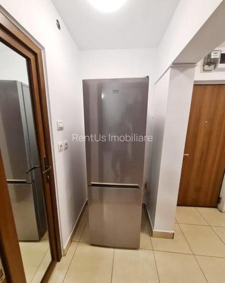 Baba Novac/Campia Libertati/Garsoniera Moderna La Cheie/ - 6