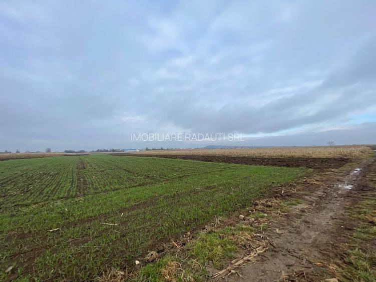 TEREN EXTRAVILAN 13 ARI | FRONT STRADAL 13 M | MARGINEA - 3