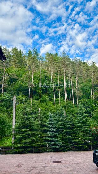 Casa de vacanta sau pensiune | Batca Doamnei | Teren in natura - 12