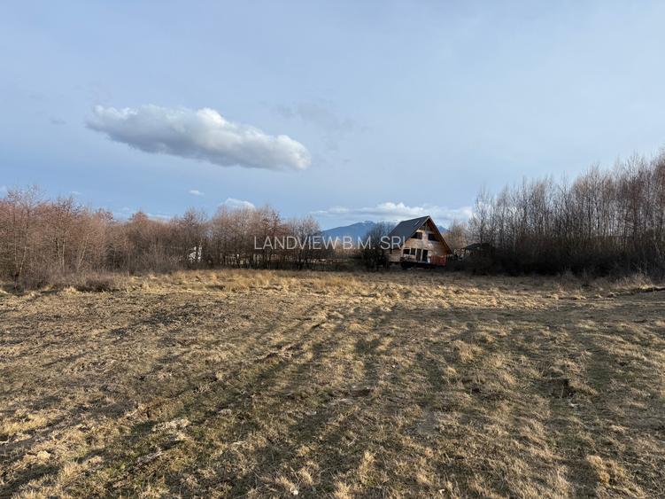 Teren intravilan 500 mp sau 1000 mp în Zarnesti –Tohanita cu parau(izvor) - 2