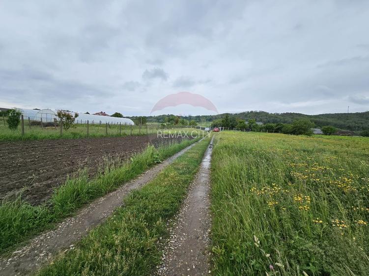 Teren 1,495mp Dobreni / Strada Parau Almas - 20