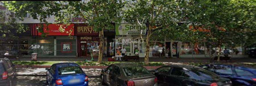 Dristor - Camil Ressu I suprafata 80 mp I pret 4000 euro - 2