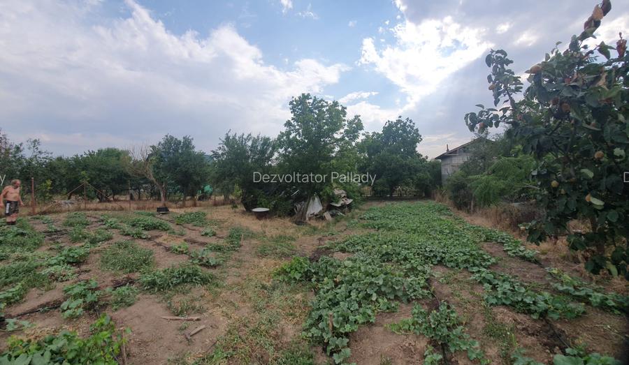 Teren 1100mp la 30 km de Bucuresti - 7