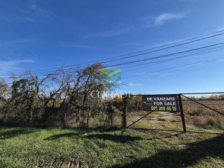 Teren de vanzare -  Bolintin Vale 10 ha - 7